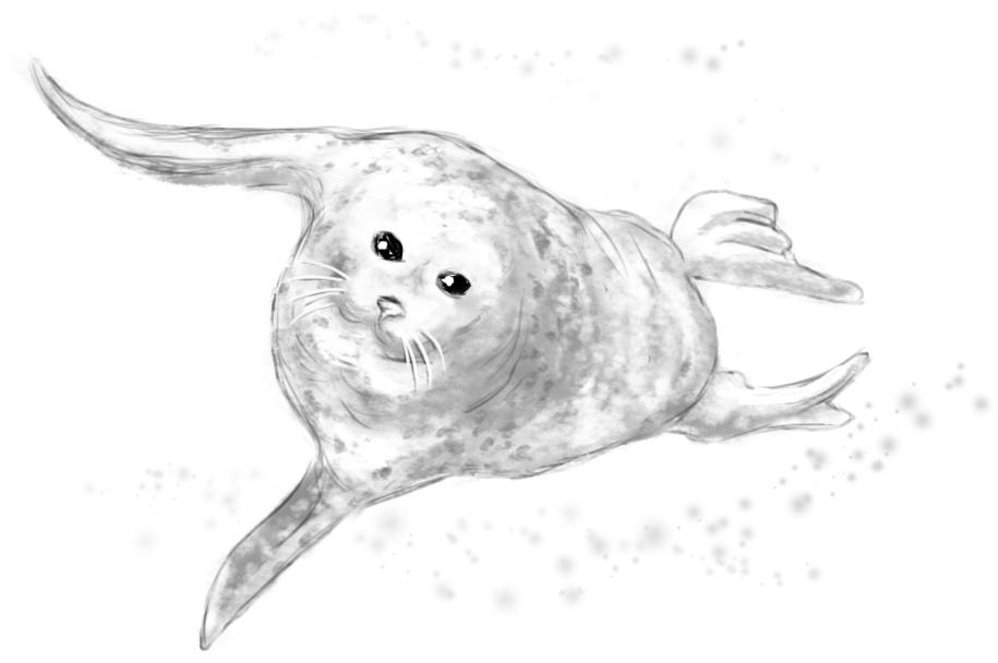 Тюлень, талисман  модуля «Английский в IT. Читай быстрее» дизайн-задачника «Собаки Павловой»