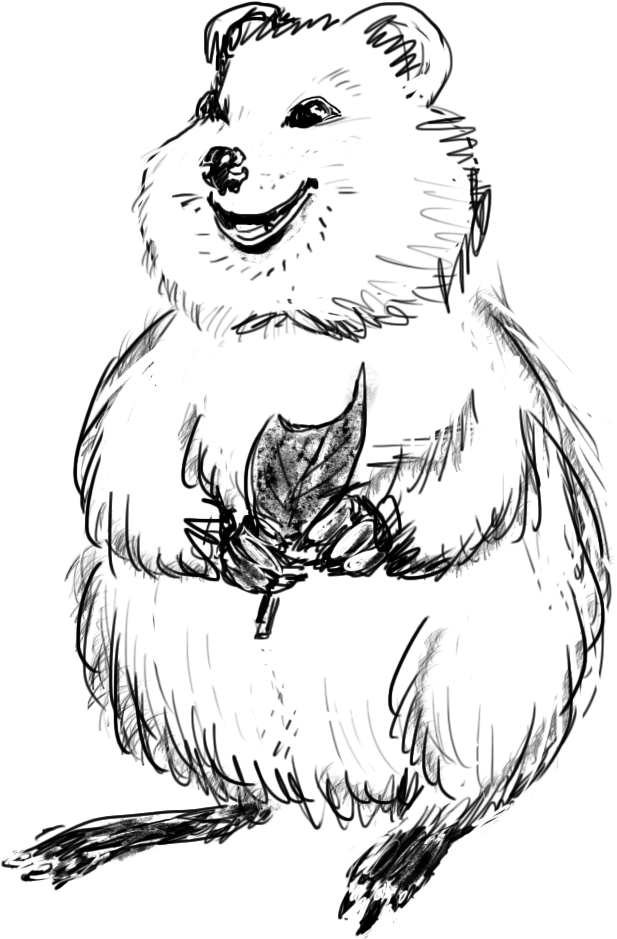 Квокка, талисман  модуля «Интерфейсные фокусы» дизайн-задачника «Собаки Павловой»